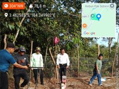 Dukung Ketahanan Pangan, Wali Kota H Arlan Turut Tanam Jagung Disekitar Kediamannya