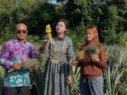 Ci Mehong, Artis,Asal Jakarta Ini Nikmati Nanas Langsung Dari Kebun Milik Warga Pangkul