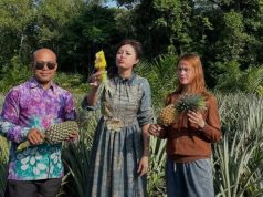Ci Mehong, Artis,Asal Jakarta Ini Nikmati Nanas Langsung Dari Kebun Milik Warga Pangkul