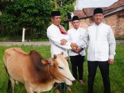 Kadiskominfo Prabumulih Wakili Wali Kota Serahkan Hewan Kurban di Masjid Babun Ni’mah Wonosari