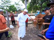 Gubernur Herman Deru Serahkan Hewan Kurban, Ziarah Keluarga hingga Kunjungi Wisata Religi Al Quran Raksasa di Hari Raya Idul Adha