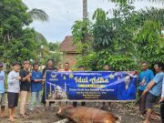 Anggota DPR RI Irma Suryani Chaniago Qurban Sapi Untuk Warga PALI