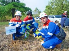 Menjaga Jalur Pulang Gajah Sumatra, Pertamina EP Zona 4 Tanam Pohon di Musi Rawas